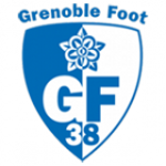 Fanion du club de 'Grenoble'