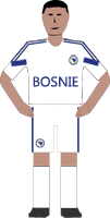 Logo de Bosnie