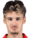Kerim Alajbegovic